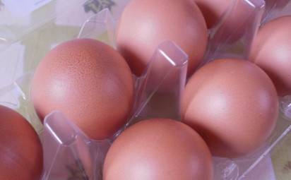 Ako vás môže zachrániť obyčajné vajíčko?