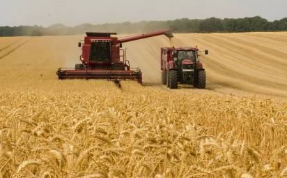 Farmári bijú na poplach, zber úrody má prísť v čase kulminácie koronavírusu. 