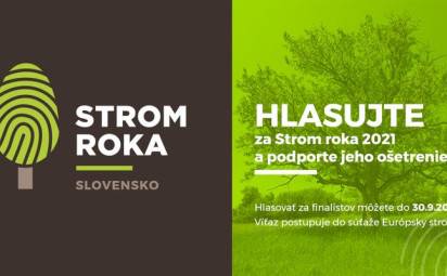 Štartuje hlasovanie v ankete Strom roka 2021.