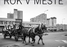 Oliver Ondráš ROK V MESTE + Program