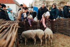 StredovekÃ© adventnÃ© trhy v Trnave_foto ZaÅ¾i v Trnave (8)